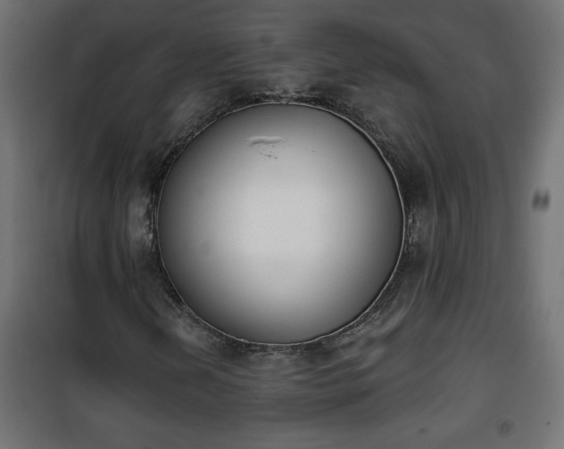 X0000101201202200807071306