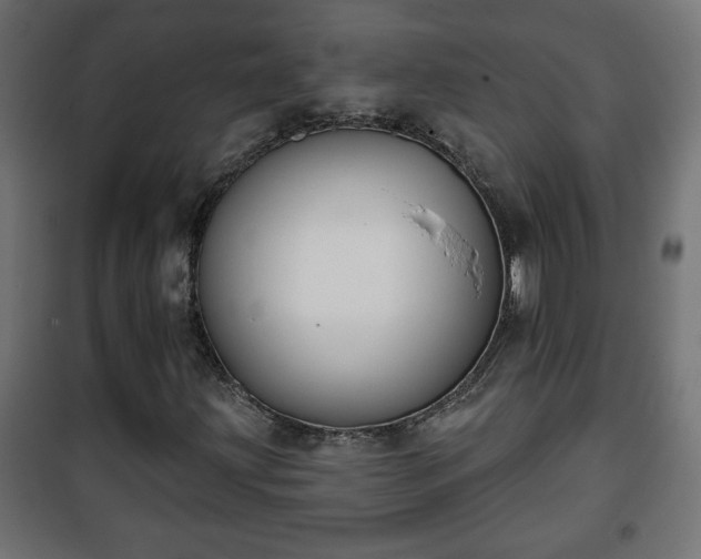 X0000101201203200807071306