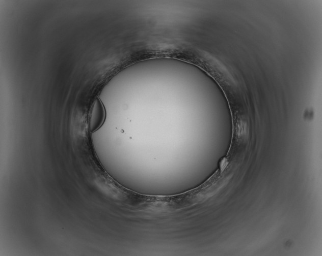 X0000101201204200807071306