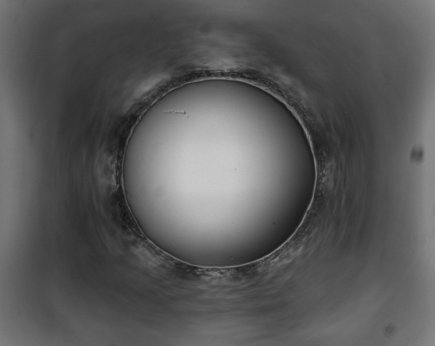 X0000101201205200807071306