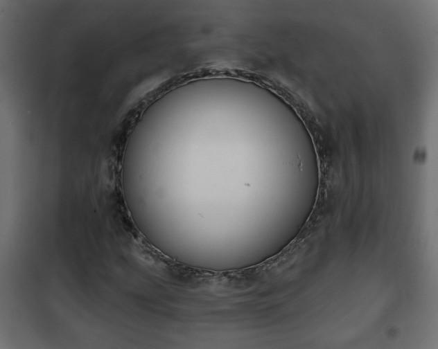 X0000101201207200807071306