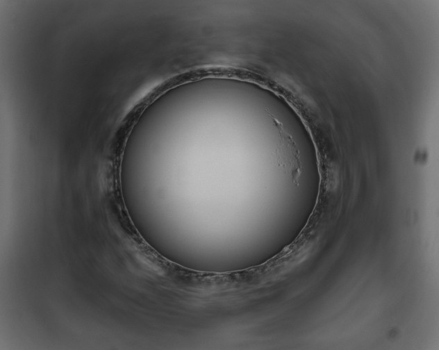 X0000101201208200807071306