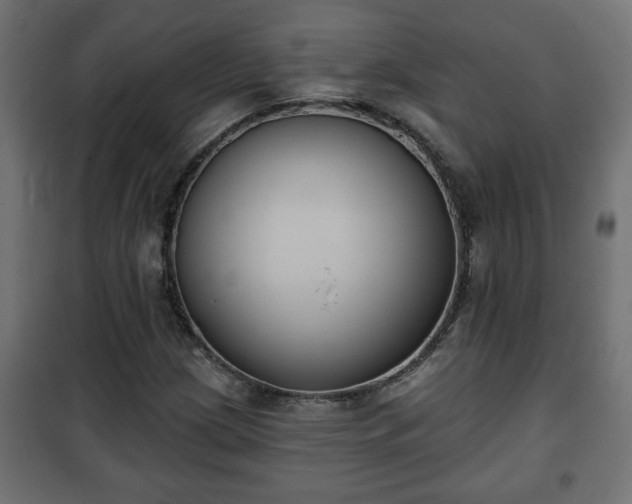 X0000101201209200807071306
