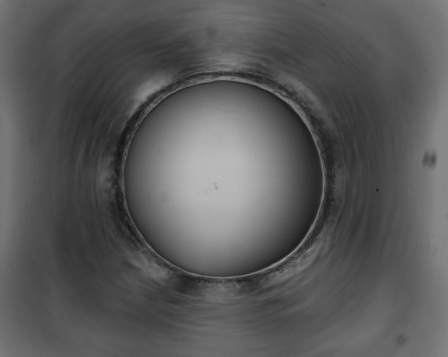 X0000101201210200807071306