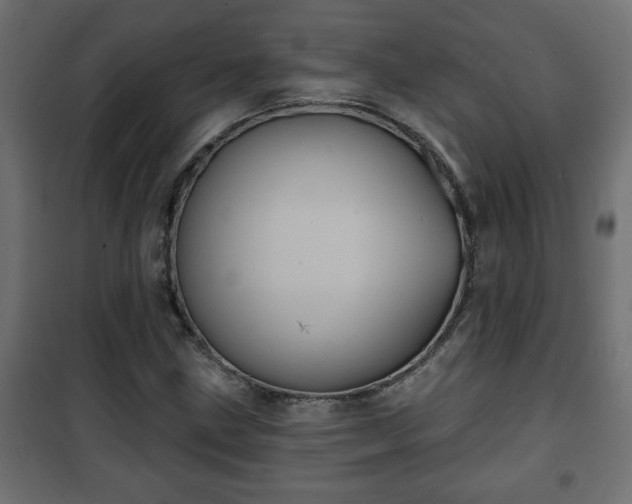 X0000101201211200807071306