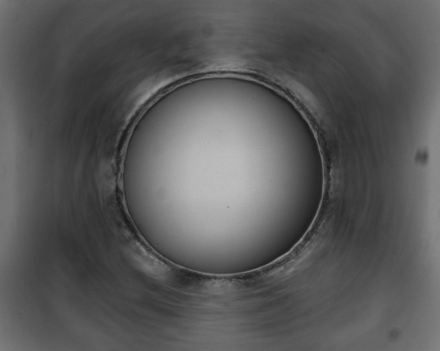 X0000101201212200807071306