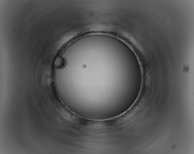 X0000101201213200807071306