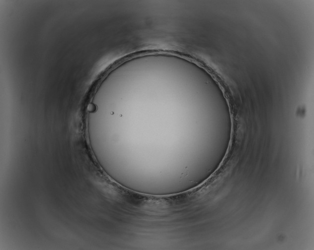 X0000101201215200807071306