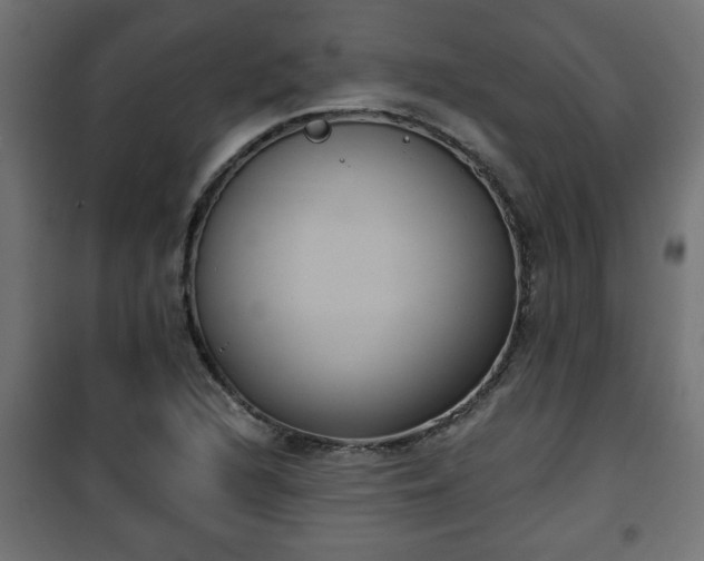 X0000101201216200807071306