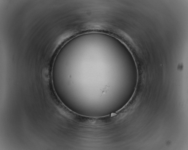 X0000101201218200807071306