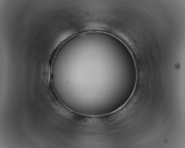 X0000101201219200807071306