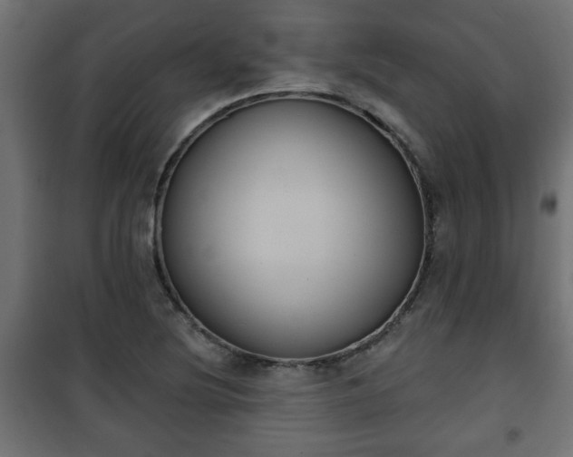 X0000101201220200807071306