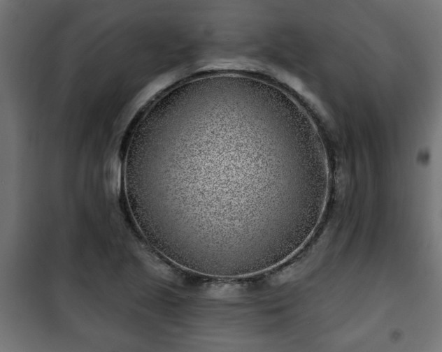 X0000101201221200807071306