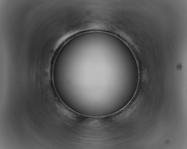 X0000101201222200807071307
