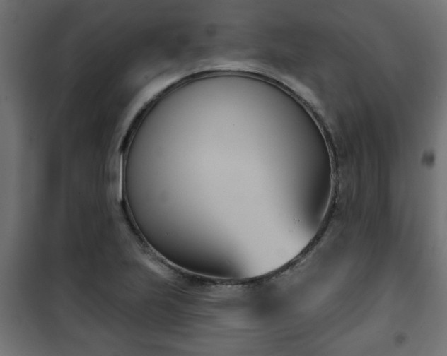 X0000101201223200807071307