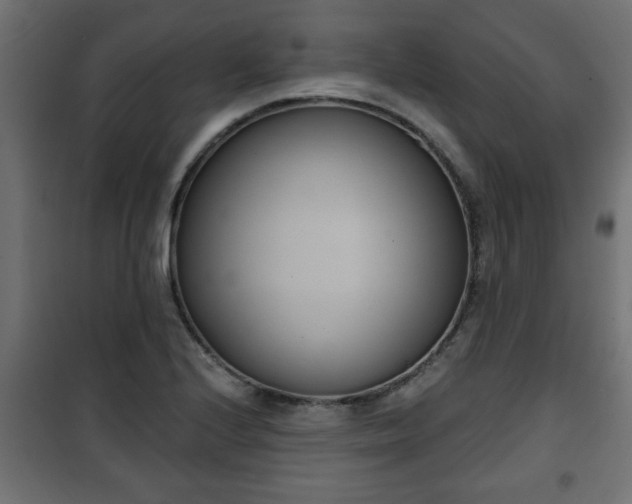 X0000101201224200807071307