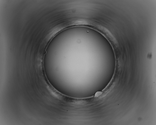 X0000101201225200807071307