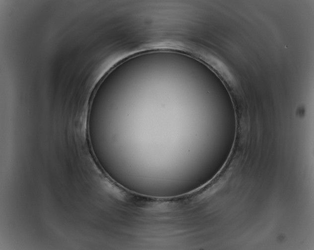 X0000101201228200807071307