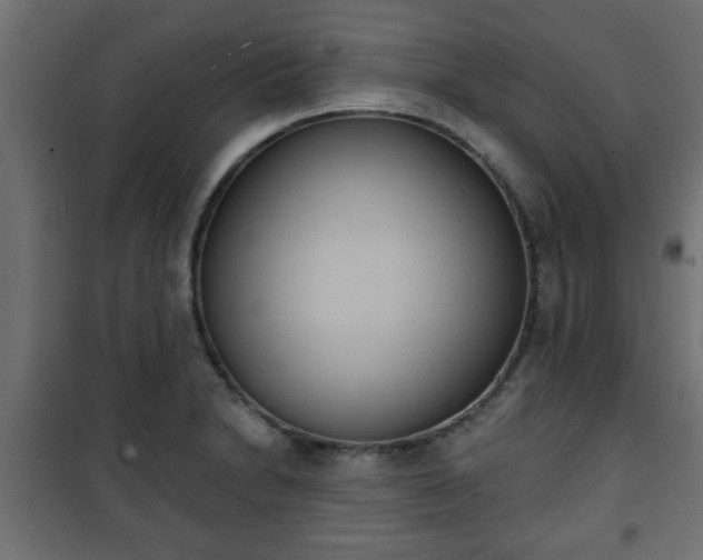 X0000101201230200807071307