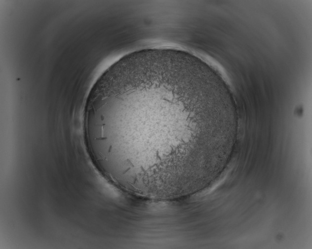 X0000101201231200807071307