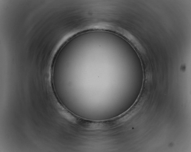 X0000101201232200807071307