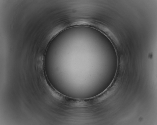 X0000101201233200807071307