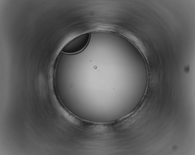 X0000101201235200807071307