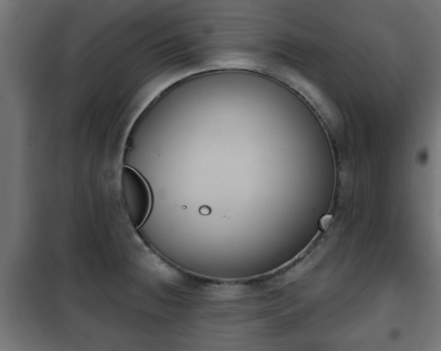 X0000101201236200807071307