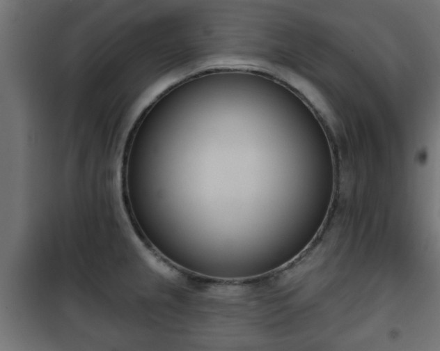 X0000101201237200807071307