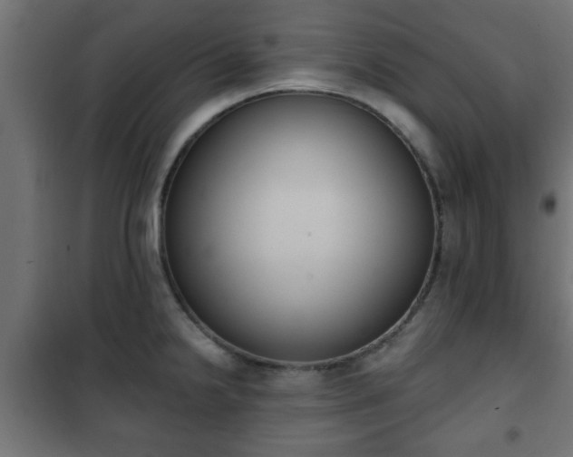 X0000101201238200807071307
