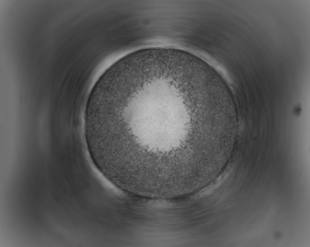 X0000101201239200807071307