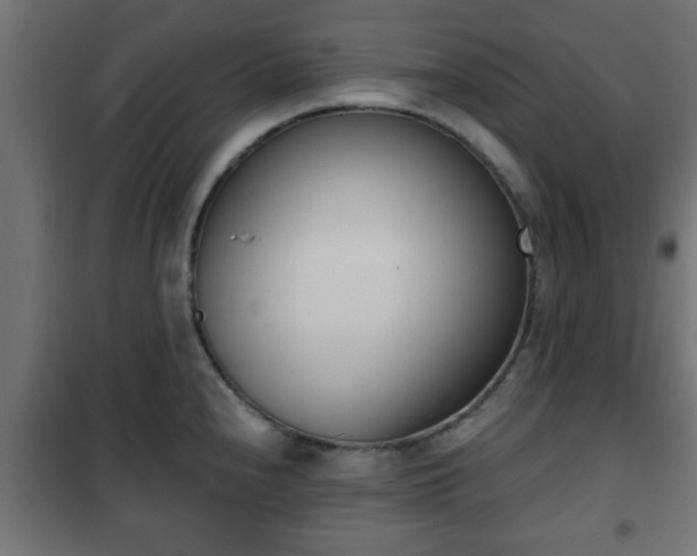 X0000101201240200807071307