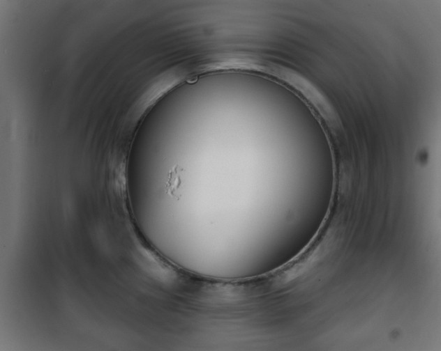 X0000101201241200807071307