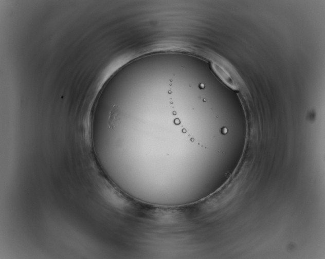 X0000101201242200807071307