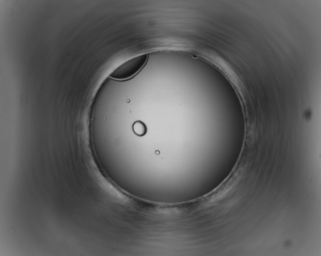 X0000101201243200807071307