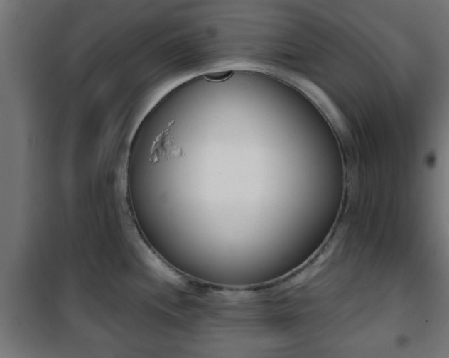 X0000101201244200807071307