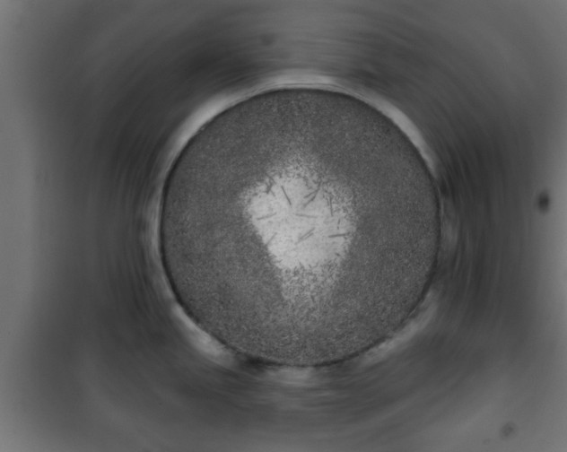 X0000101201245200807071307