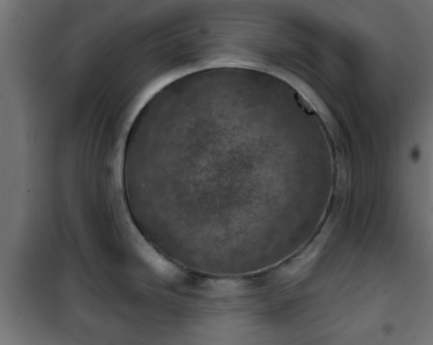 X0000101201246200807071307