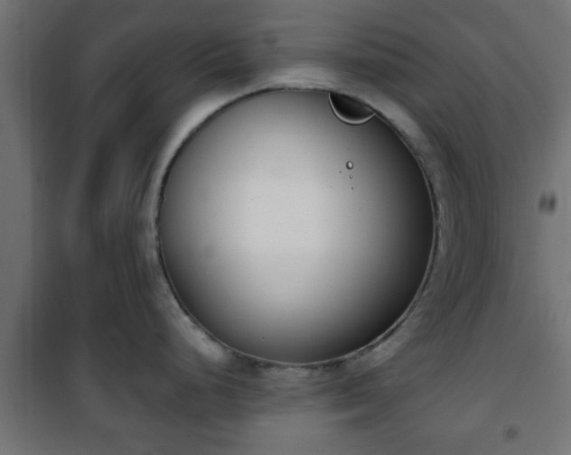 X0000101201248200807071307