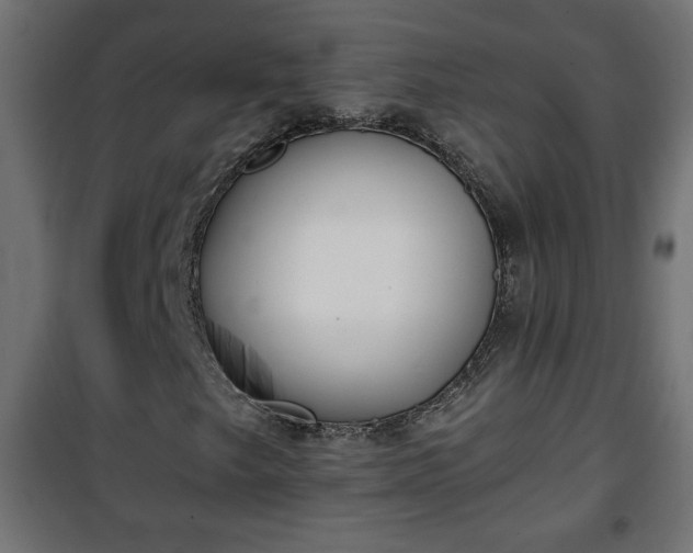 X0000101201249200807071306