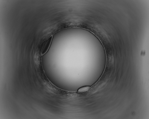 X0000101201250200807071306