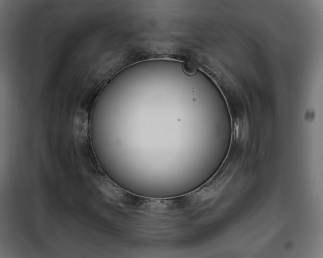 X0000101201251200807071306