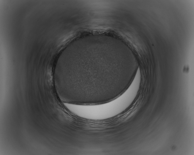 X0000101201252200807071306
