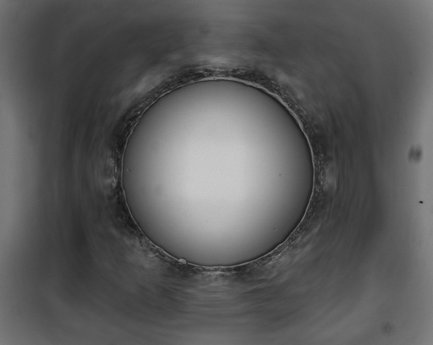 X0000101201253200807071306