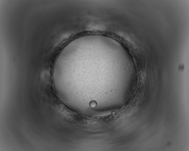 X0000101201254200807071306