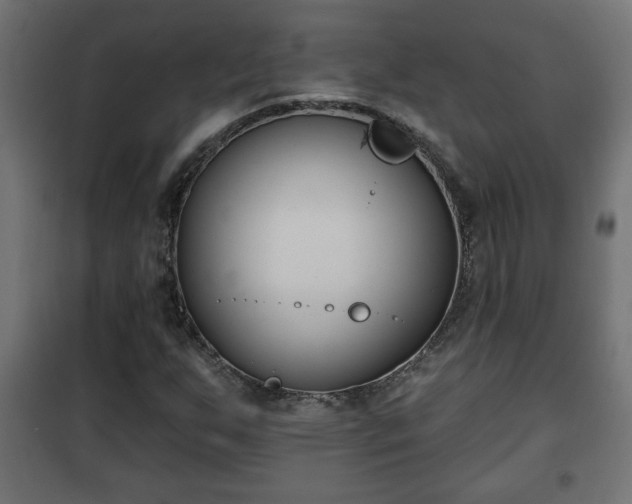 X0000101201255200807071306