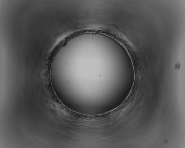 X0000101201256200807071306