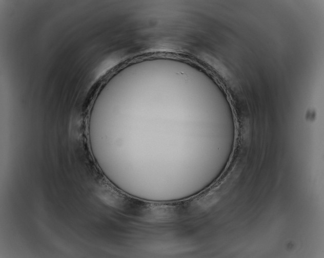 X0000101201258200807071306