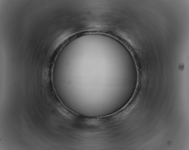 X0000101201259200807071306