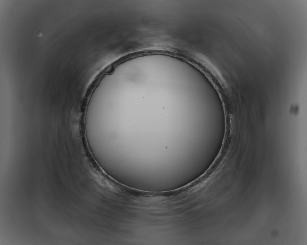 X0000101201260200807071306